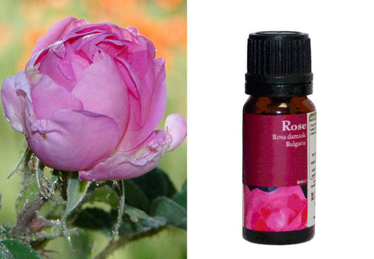 Damask rose essential oil