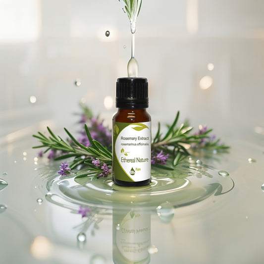 Rosemary Extract – Αντιοξειδωτική Λάμψη & Φυσική Προστασία
