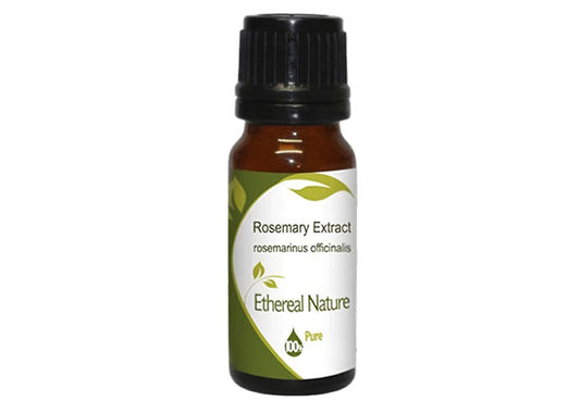 Rosemary Extract – Αντιοξειδωτική Λάμψη & Φυσική Προστασία