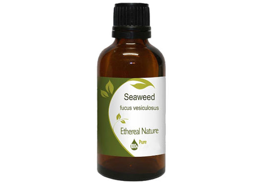 Seaweed Έλαιο – Ενυδάτωση & Επανόρθωση Δέρματος