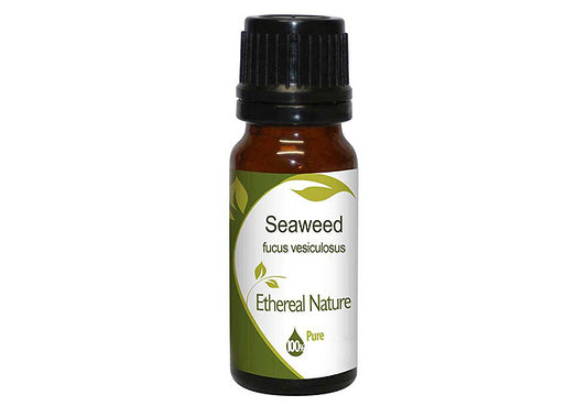 Seaweed Extract