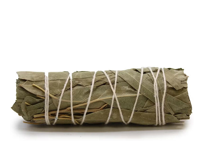 Natural White Sage and Eucalyptus Smudge Stick handmade botanical incense bundle