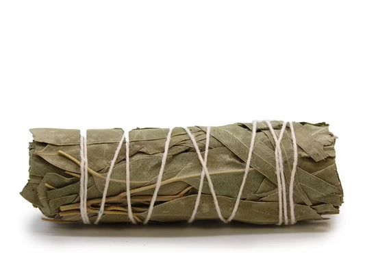 Natural White Sage and Eucalyptus Smudge Stick handmade botanical incense bundle