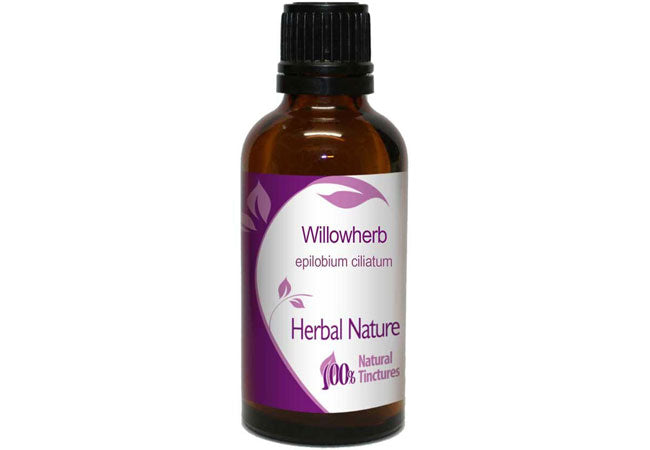Willowherb tincture Epilobium ciliatum herbal extract