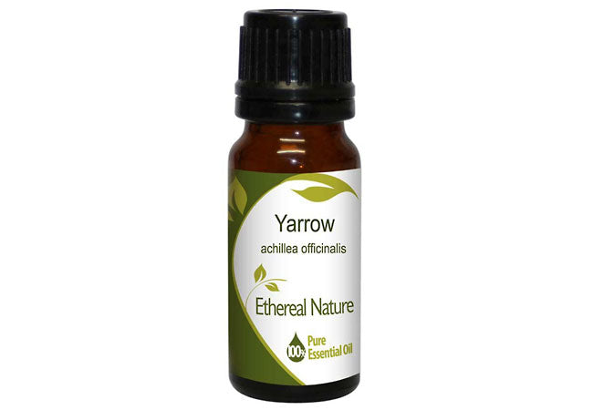 Yarrow Essential Oil