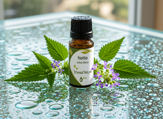 Εκχύλισμα Τσουκνίδας - Φυτική Λύση για Υγεία Δέρματος & Μαλλιών - OiloHerb