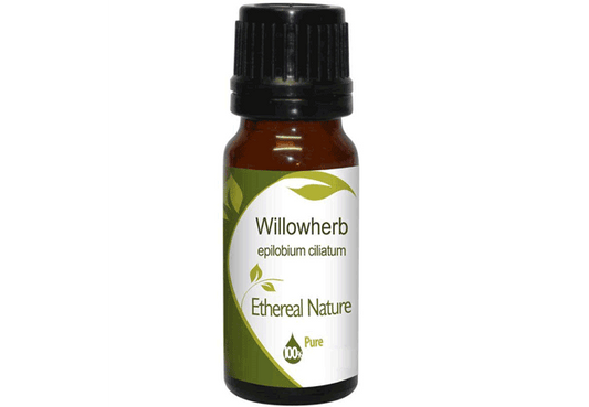 Εκχύλισμα Επιλόβιο (Willowherb) - Φυσικό Συστατικό για Λιπαρό & Προβληματικό Δέρμα - OiloHerb